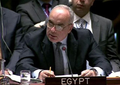 عمرو أبو العطا، ممثل مصر في مجلس الأمن