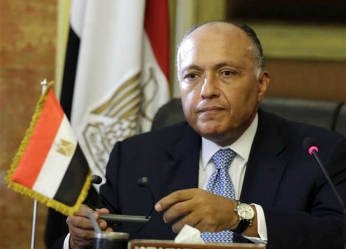 سامح شكري، وزير الخارجية
