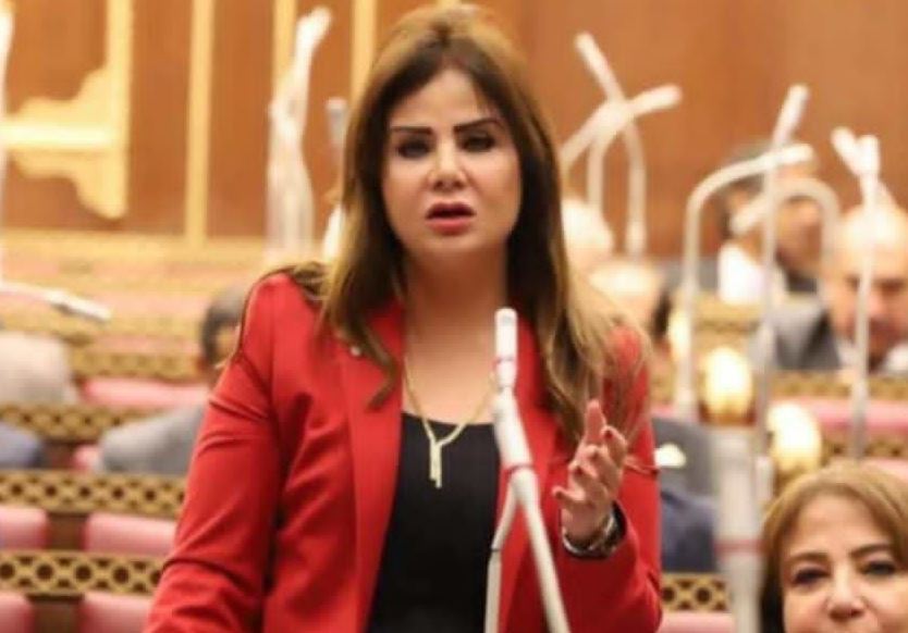 أمل رمزي عضو لجنة الدفاع والأمن القومي