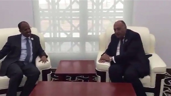 وزيرا خارجية مصر وجيبوتي