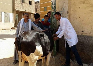 أرشيفية