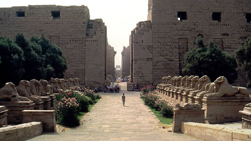 طريق الكباش