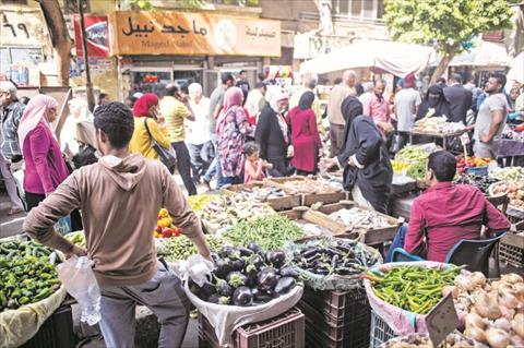 تصوير ابراهيم عزت