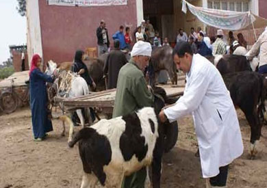 ارشيفية