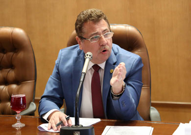 النائب محمد بدراوي