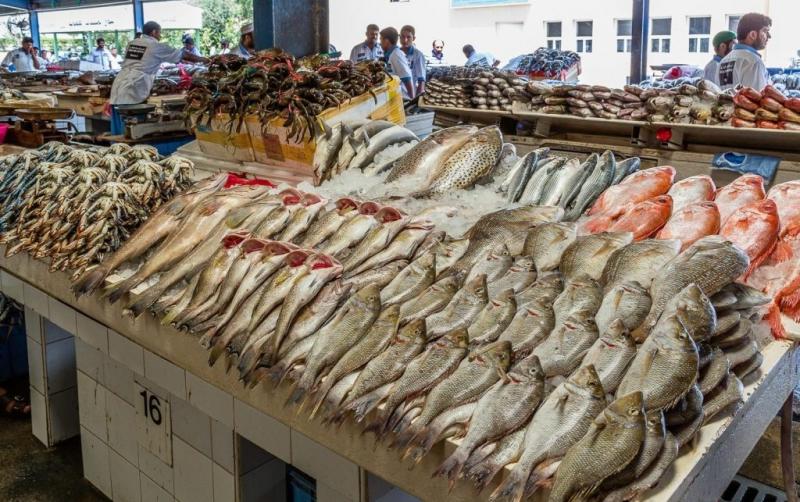 أسعار الأسماك بسوق العبور البلطي يسجل 20 جنيهًا