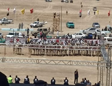 سباقات الجمال