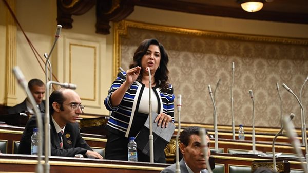 أميرة العادلي تنتقد مشروع تعديل قانون المالية الموحد