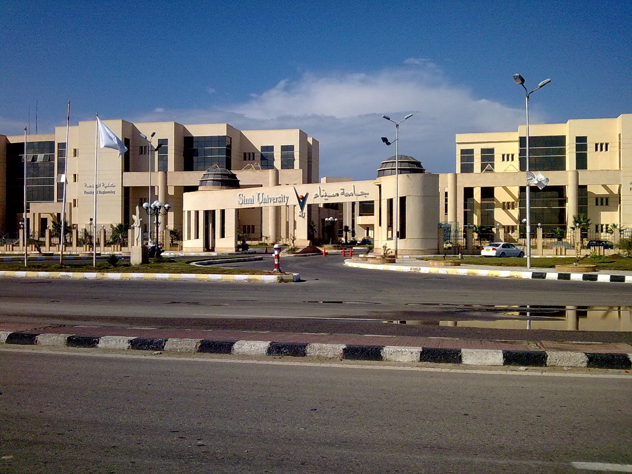 جامعة سيناء