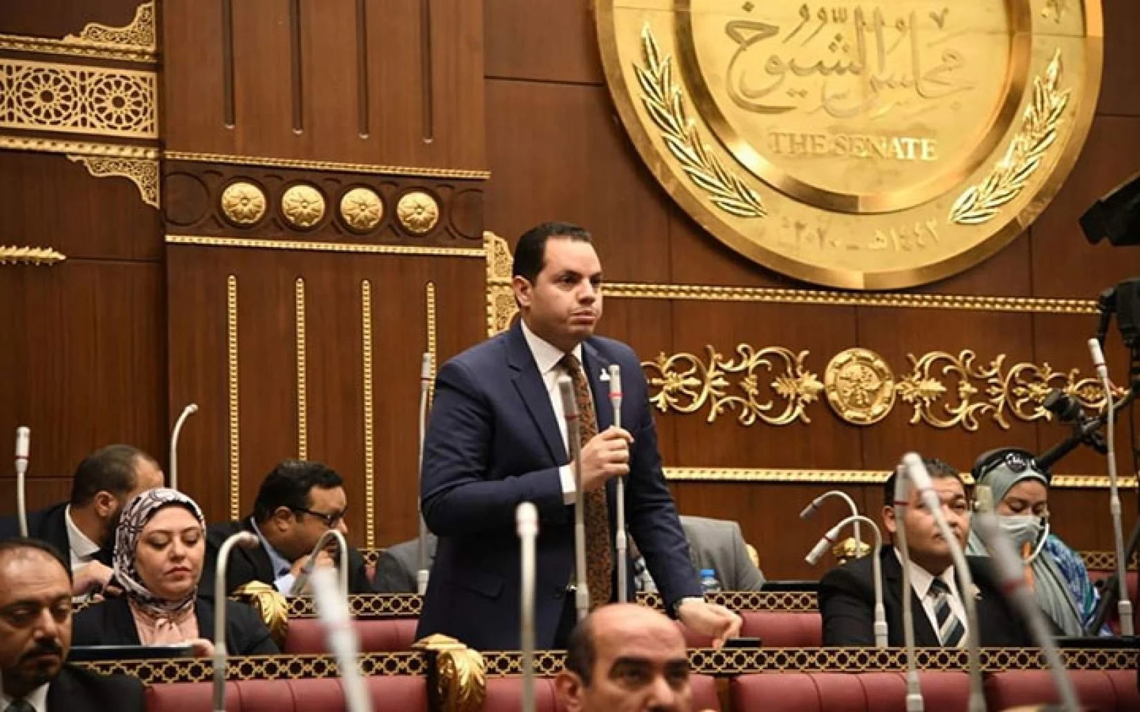 النائب أحمد فوزى