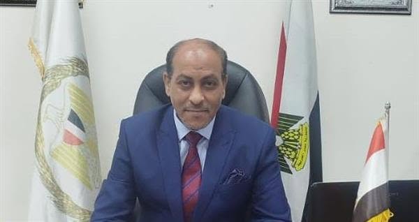 صورة الخبر