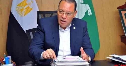 محافظ الشرقية