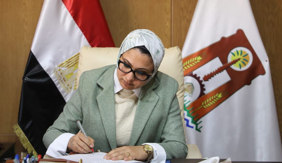 محافظ الوادي الجديد: تنظيم آلية العمل عن بُعد.. واستثناء القطاعات الحيوية والعمل الميداني 