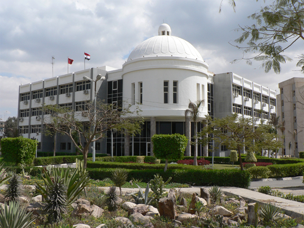 جامعة الفيوم