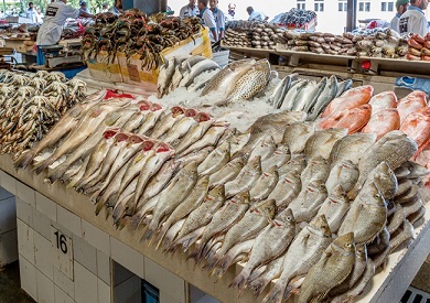 أسعار الأسماك بسوق العبور .. استقرار ملحوظ