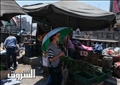 تصوير: إسلام صفوت