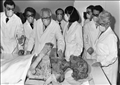 فحص و ترميم مومياء رمسيس الثاني، في متحف الإنسان، في باريس، 11 نوفمبر 1976