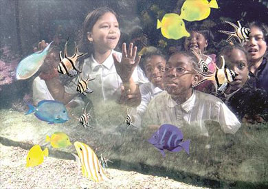 النظر إلى أحواض السمك يقلل التوتر