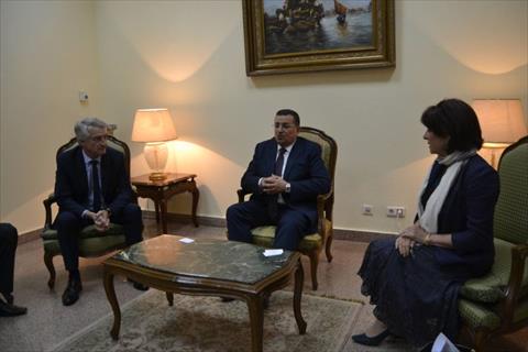 هيكل اثناء استقباله الوفد الفرنسي