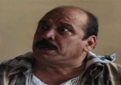 الفنان ضياء الميرغني
