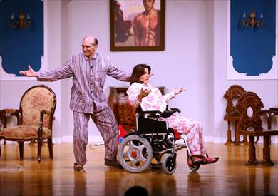 مسرحية أنا والنحلة والدبور