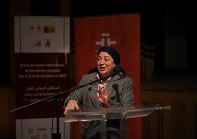 الدكتورة نبيلة حسن ، عميد المعهد العالى للفنون المسرحية بالإسكندرية
