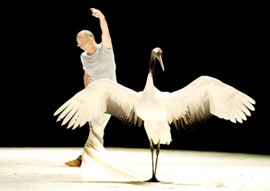مصمم الرقصات الفرنسية لوك بيتون على خشبة المسرح مع الطائر الحقيقي أ ف ب