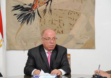 حلمى النمنم