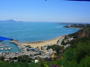 أرشيفية