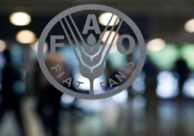«الفاو» تطلق جائزة الصحافة في الشرق الأدنى وشمال إفريقيا