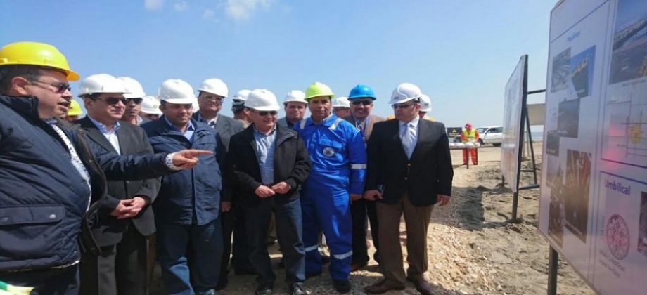 تنمية حقل ظهر