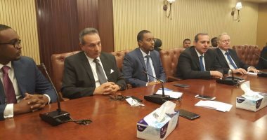 «مصر» يبدأ إجراءات افتتاح مكتب تمثيل فى كينيا