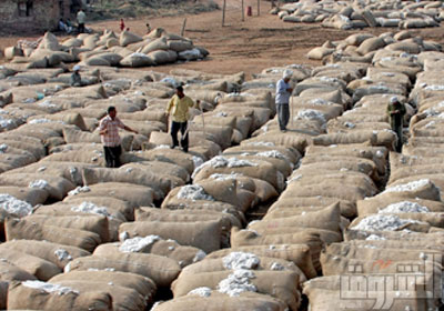 تصوير: أحمد عبد اللطيف