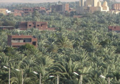 واحة سيوة  ــ ارشيفية