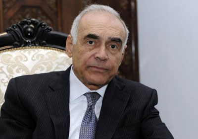 محمد كامل عمرو - وزير الخارجية
