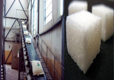 استيراد 365 ألف طن سكر من البرازيل لسد احتياجات الاستهلاك حتى يناير القادم