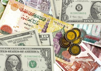 خفض سعر الجنيه إلى 8.25 للدولار