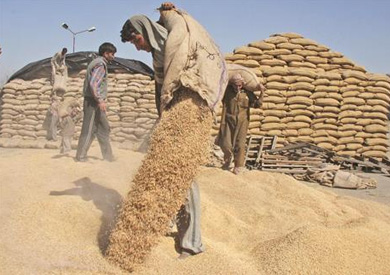 بيانات متضاربة حول أزمة القمح