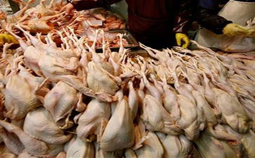 ضبط مجزر غير مرخص بداخله 3 أطنان «أجزاء دواجن» فاسدة بالإسكندرية