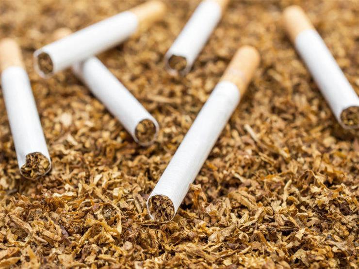 أسعار السجائر تقفز بنسبة 92% على أساس سنوى خلال إبريل الماضي.. و8.6% على أساس شهري