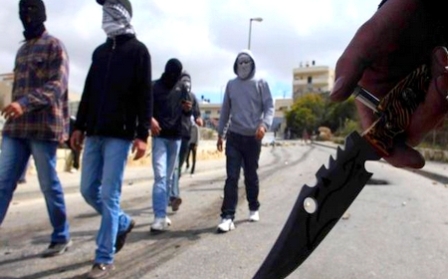 عصابة مسلحة تستولي على سيارة محملة «سولار» في بني سويف