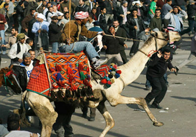 من احداث موقعة الجمل