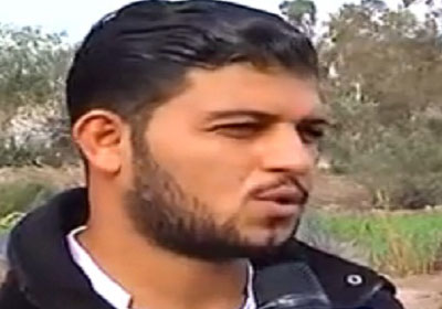 تامر المحمدى