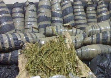 بنجو - ارشيفية