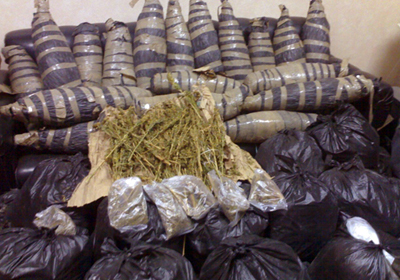 بنجو - ارشيفية
