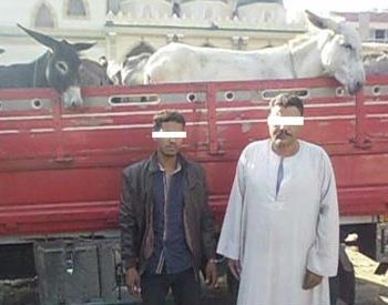 ضبط سائقين يحملان حميرا لذبحها بقويسنا