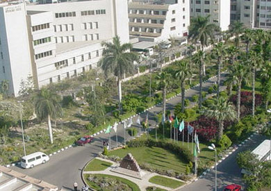 جامعة المنصورة
