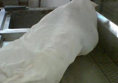 ارشيفية لجثة