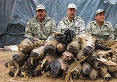 قوات حرس الحدود ارشيفية