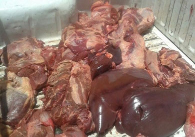 ضبط 50 طن كبده فاسدة في العبور